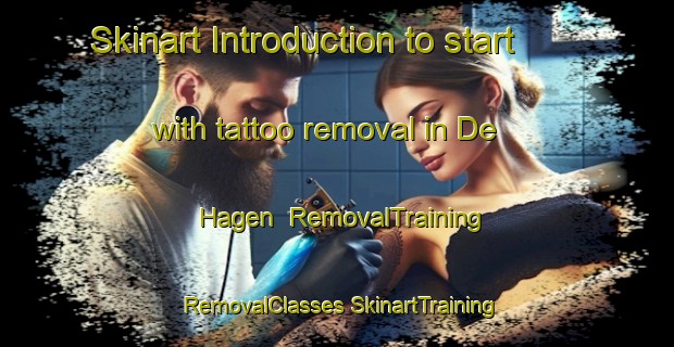 Skinart Introduction to start with tattoo removal in De Hagen | #RemovalTraining #RemovalClasses #SkinartTraining-Netherlands