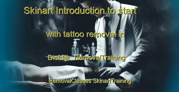 Skinart Introduction to start with tattoo removal in Diefdijk | #RemovalTraining #RemovalClasses #SkinartTraining-Netherlands