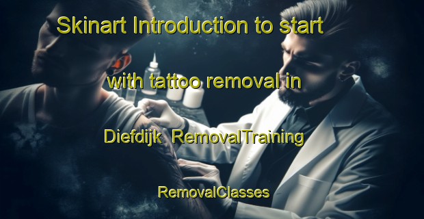 Skinart Introduction to start with tattoo removal in Diefdijk | RemovalTraining | RemovalClasses | SkinartTraining-Netherlands