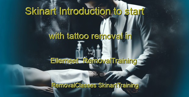 Skinart Introduction to start with tattoo removal in Ellemeet | #RemovalTraining #RemovalClasses #SkinartTraining-Netherlands