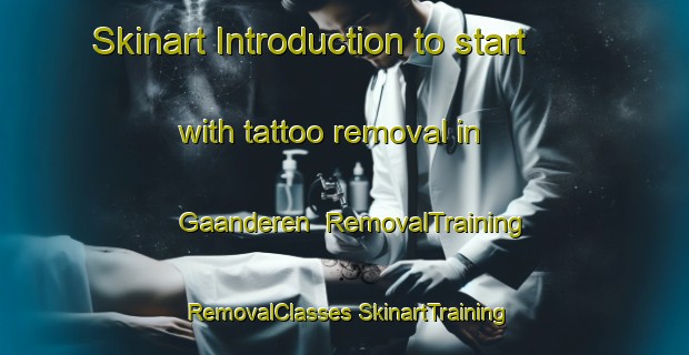 Skinart Introduction to start with tattoo removal in Gaanderen | #RemovalTraining #RemovalClasses #SkinartTraining-Netherlands