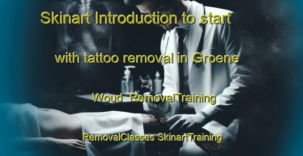 Skinart Introduction to start with tattoo removal in Groene Woud | #RemovalTraining #RemovalClasses #SkinartTraining-Netherlands