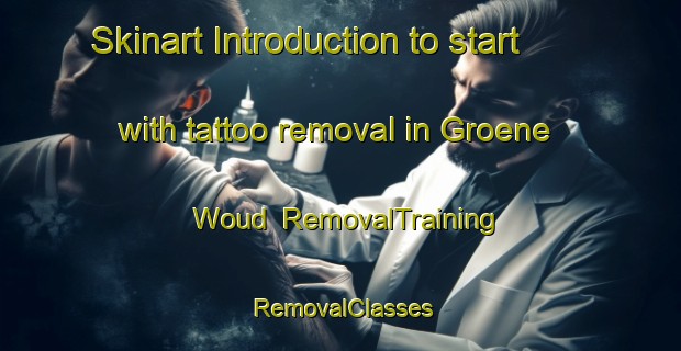 Skinart Introduction to start with tattoo removal in Groene Woud | RemovalTraining | RemovalClasses | SkinartTraining-Netherlands