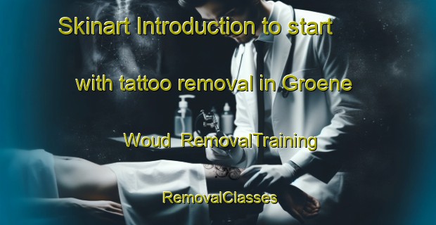 Skinart Introduction to start with tattoo removal in Groene Woud | RemovalTraining | RemovalClasses | SkinartTraining-Netherlands