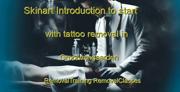 Skinart Introduction to start with tattoo removal in Grootwijngaarden | #RemovalTraining #RemovalClasses #SkinartTraining-Netherlands