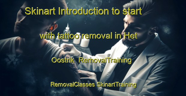 Skinart Introduction to start with tattoo removal in Het Oostrik | #RemovalTraining #RemovalClasses #SkinartTraining-Netherlands