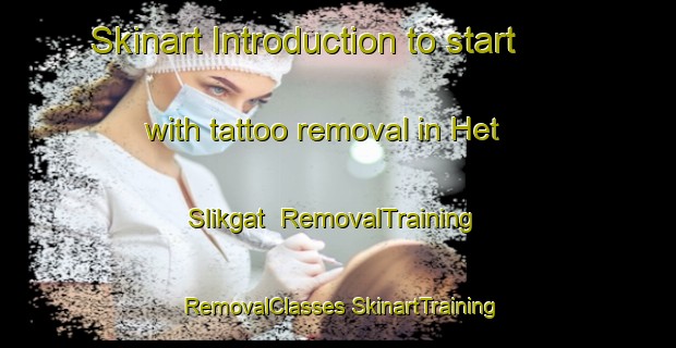 Skinart Introduction to start with tattoo removal in Het Slikgat | #RemovalTraining #RemovalClasses #SkinartTraining-Netherlands