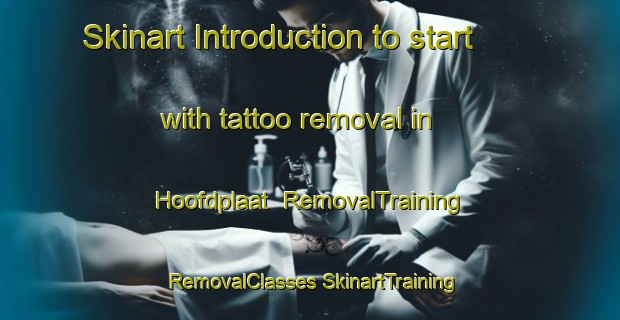 Skinart Introduction to start with tattoo removal in Hoofdplaat | #RemovalTraining #RemovalClasses #SkinartTraining-Netherlands