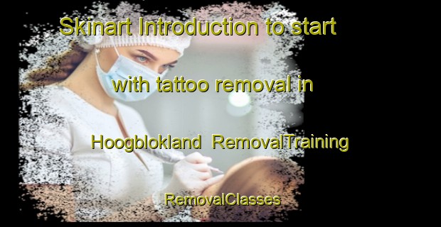 Skinart Introduction to start with tattoo removal in Hoogblokland | RemovalTraining | RemovalClasses | SkinartTraining-Netherlands