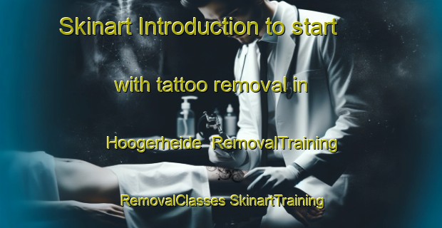 Skinart Introduction to start with tattoo removal in Hoogerheide | #RemovalTraining #RemovalClasses #SkinartTraining-Netherlands