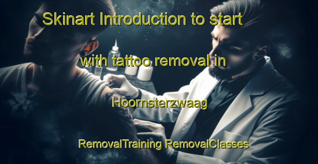 Skinart Introduction to start with tattoo removal in Hoornsterzwaag | #RemovalTraining #RemovalClasses #SkinartTraining-Netherlands