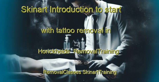 Skinart Introduction to start with tattoo removal in Horickheide | #RemovalTraining #RemovalClasses #SkinartTraining-Netherlands