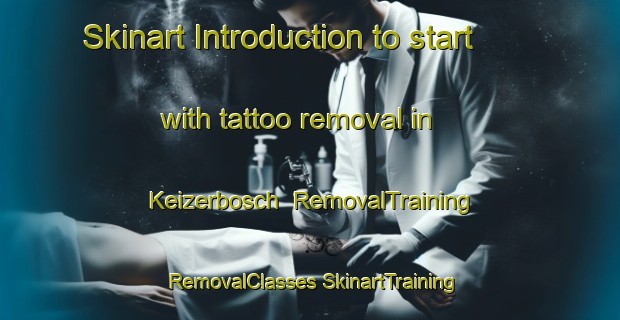 Skinart Introduction to start with tattoo removal in Keizerbosch | #RemovalTraining #RemovalClasses #SkinartTraining-Netherlands