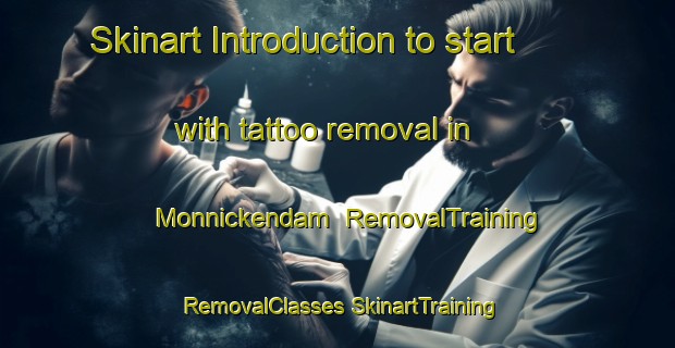 Skinart Introduction to start with tattoo removal in Monnickendam | #RemovalTraining #RemovalClasses #SkinartTraining-Netherlands