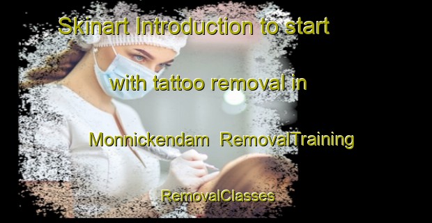 Skinart Introduction to start with tattoo removal in Monnickendam | RemovalTraining | RemovalClasses | SkinartTraining-Netherlands