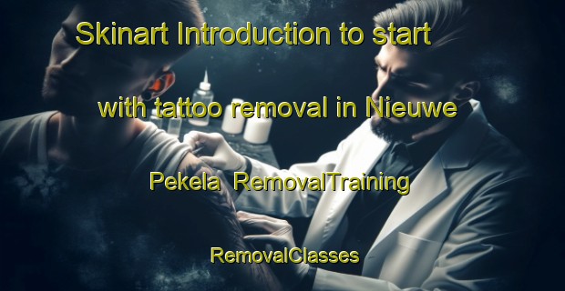 Skinart Introduction to start with tattoo removal in Nieuwe Pekela | RemovalTraining | RemovalClasses | SkinartTraining-Netherlands