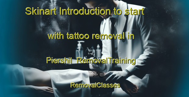 Skinart Introduction to start with tattoo removal in Piershil | RemovalTraining | RemovalClasses | SkinartTraining-Netherlands