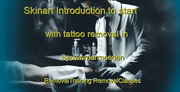 Skinart Introduction to start with tattoo removal in Sauwerdermeeden | #RemovalTraining #RemovalClasses #SkinartTraining-Netherlands