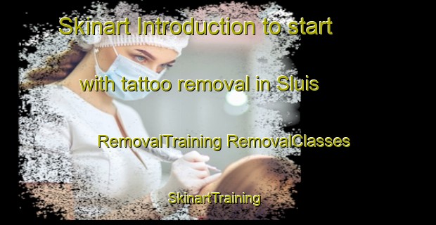 Skinart Introduction to start with tattoo removal in Sluis | #RemovalTraining #RemovalClasses #SkinartTraining-Netherlands