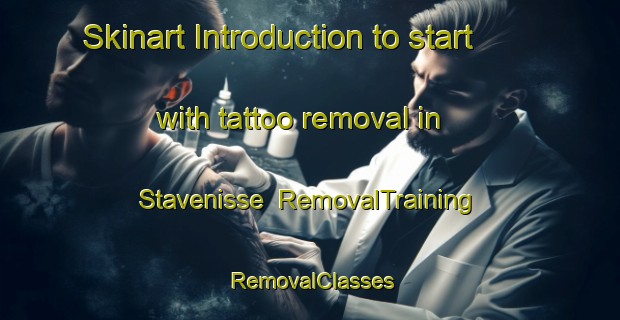 Skinart Introduction to start with tattoo removal in Stavenisse | RemovalTraining | RemovalClasses | SkinartTraining-Netherlands