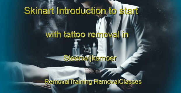 Skinart Introduction to start with tattoo removal in Steenwijksmoer | #RemovalTraining #RemovalClasses #SkinartTraining-Netherlands