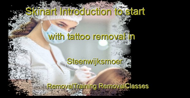 Skinart Introduction to start with tattoo removal in Steenwijksmoer | #RemovalTraining #RemovalClasses #SkinartTraining-Netherlands