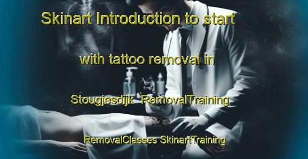 Skinart Introduction to start with tattoo removal in Stougjesdijk | #RemovalTraining #RemovalClasses #SkinartTraining-Netherlands