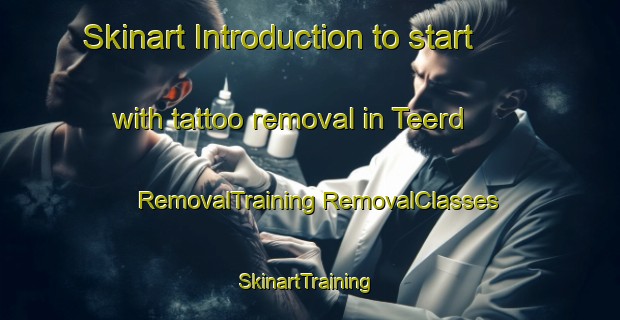 Skinart Introduction to start with tattoo removal in Teerd | #RemovalTraining #RemovalClasses #SkinartTraining-Netherlands