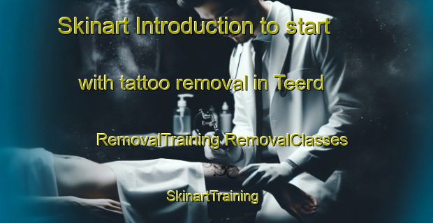 Skinart Introduction to start with tattoo removal in Teerd | #RemovalTraining #RemovalClasses #SkinartTraining-Netherlands