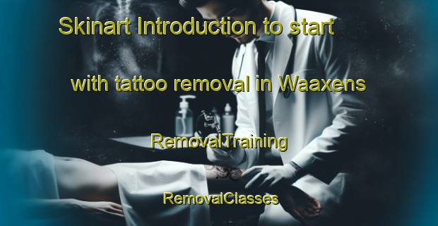 Skinart Introduction to start with tattoo removal in Waaxens | RemovalTraining | RemovalClasses | SkinartTraining-Netherlands
