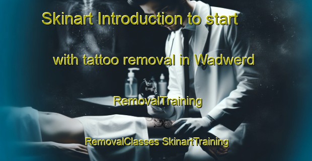 Skinart Introduction to start with tattoo removal in Wadwerd | #RemovalTraining #RemovalClasses #SkinartTraining-Netherlands