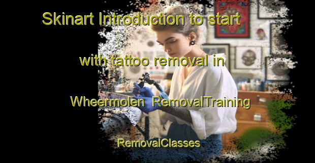 Skinart Introduction to start with tattoo removal in Wheermolen | RemovalTraining | RemovalClasses | SkinartTraining-Netherlands