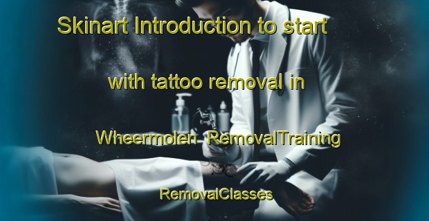 Skinart Introduction to start with tattoo removal in Wheermolen | RemovalTraining | RemovalClasses | SkinartTraining-Netherlands