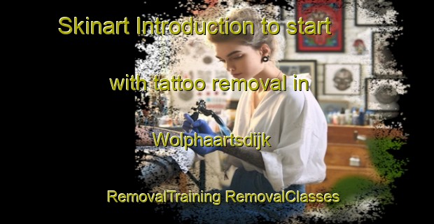 Skinart Introduction to start with tattoo removal in Wolphaartsdijk | #RemovalTraining #RemovalClasses #SkinartTraining-Netherlands