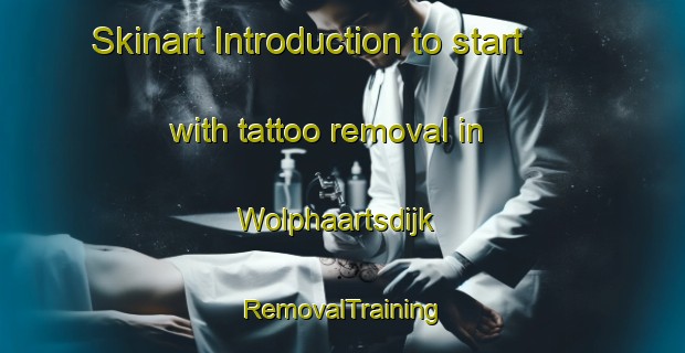 Skinart Introduction to start with tattoo removal in Wolphaartsdijk | RemovalTraining | RemovalClasses | SkinartTraining-Netherlands