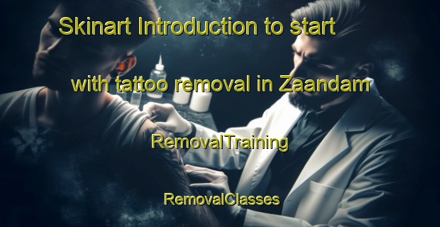Skinart Introduction to start with tattoo removal in Zaandam | RemovalTraining | RemovalClasses | SkinartTraining-Netherlands