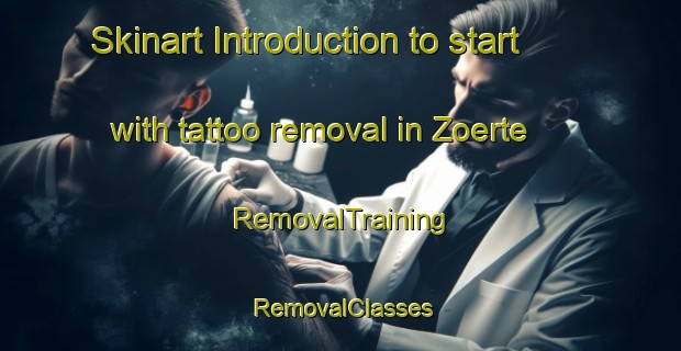 Skinart Introduction to start with tattoo removal in Zoerte | RemovalTraining | RemovalClasses | SkinartTraining-Netherlands