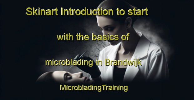 Skinart Introduction to start with the basics of microblading in Brandwijk | MicrobladingTraining | MicrobladingClasses | SkinartTraining-Netherlands