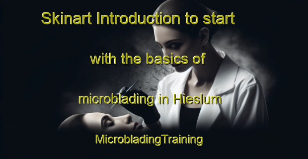 Skinart Introduction to start with the basics of microblading in Hieslum | MicrobladingTraining | MicrobladingClasses | SkinartTraining-Netherlands