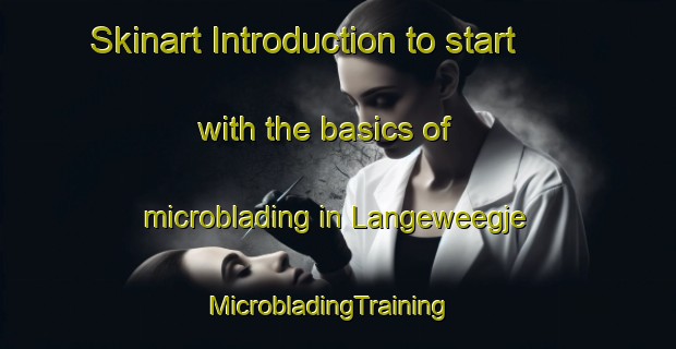 Skinart Introduction to start with the basics of microblading in Langeweegje | MicrobladingTraining | MicrobladingClasses | SkinartTraining-Netherlands