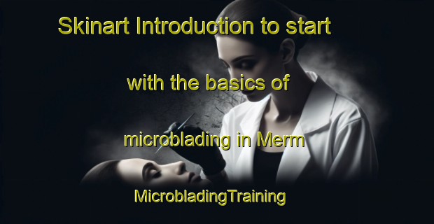 Skinart Introduction to start with the basics of microblading in Merm | MicrobladingTraining | MicrobladingClasses | SkinartTraining-Netherlands