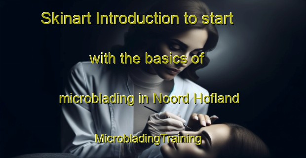 Skinart Introduction to start with the basics of microblading in Noord Hofland | MicrobladingTraining | MicrobladingClasses | SkinartTraining-Netherlands