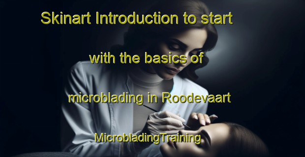 Skinart Introduction to start with the basics of microblading in Roodevaart | MicrobladingTraining | MicrobladingClasses | SkinartTraining-Netherlands