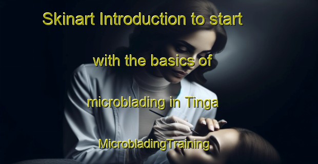 Skinart Introduction to start with the basics of microblading in Tinga | MicrobladingTraining | MicrobladingClasses | SkinartTraining-Netherlands