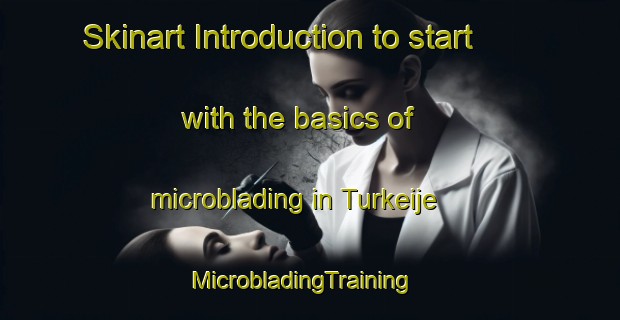 Skinart Introduction to start with the basics of microblading in Turkeije | MicrobladingTraining | MicrobladingClasses | SkinartTraining-Netherlands
