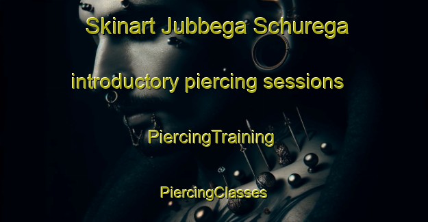 Skinart Jubbega Schurega introductory piercing sessions | #PiercingTraining #PiercingClasses #SkinartTraining-Netherlands