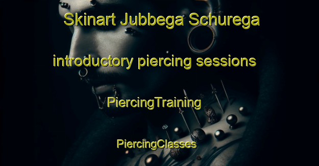 Skinart Jubbega Schurega introductory piercing sessions | PiercingTraining | PiercingClasses | SkinartTraining-Netherlands
