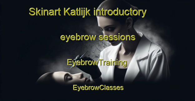 Skinart Katlijk introductory eyebrow sessions | EyebrowTraining | EyebrowClasses | SkinartTraining-Netherlands