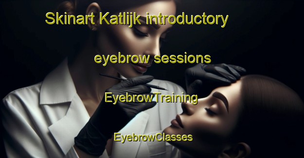 Skinart Katlijk introductory eyebrow sessions | EyebrowTraining | EyebrowClasses | SkinartTraining-Netherlands