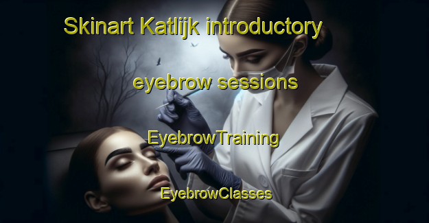 Skinart Katlijk introductory eyebrow sessions | EyebrowTraining | EyebrowClasses | SkinartTraining-Netherlands